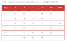 Load image into Gallery viewer, The Everyday Bra