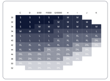 Load image into Gallery viewer, Evelyn Bra-Limited Edition