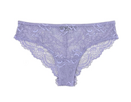 Classic Lace Brief