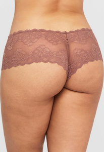 Lace Cheeky in Pecan